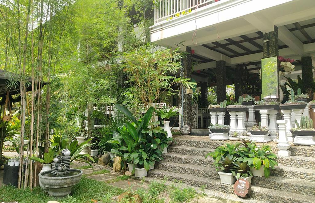 New The Heritage Resort & Restaurant Bukit Lawang Bandartelu Exteriér fotografie